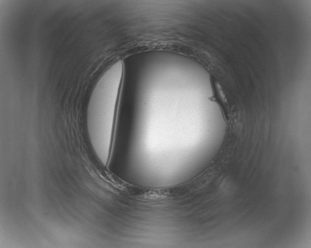 X0000078840756200611130957