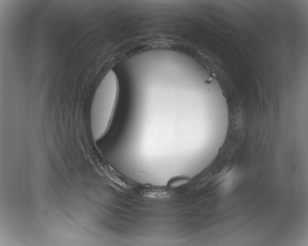 X0000078840759200611130957