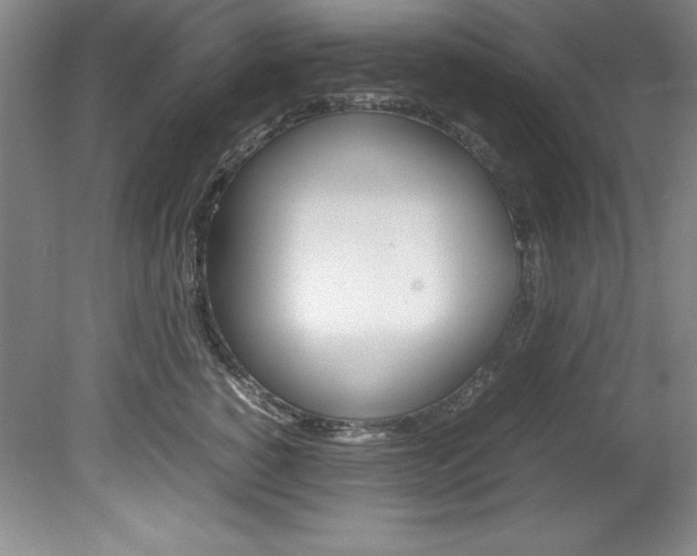 X0000078840760200611130957