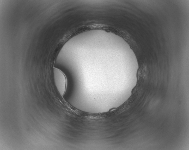 X0000078840763200611130957