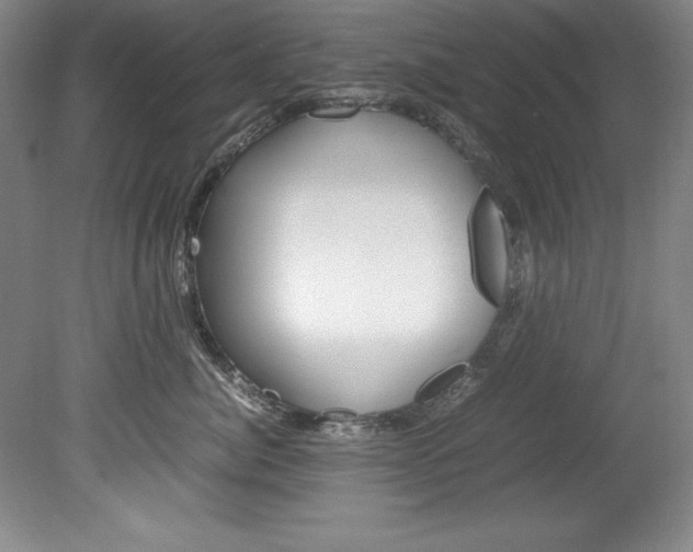 X0000078840764200611130957