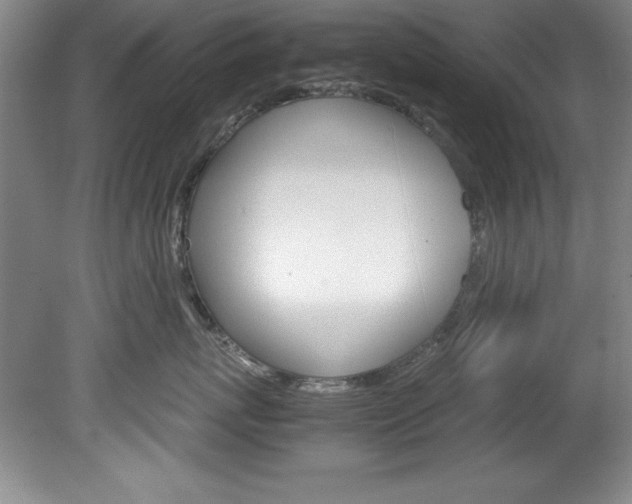 X0000078840767200611130957