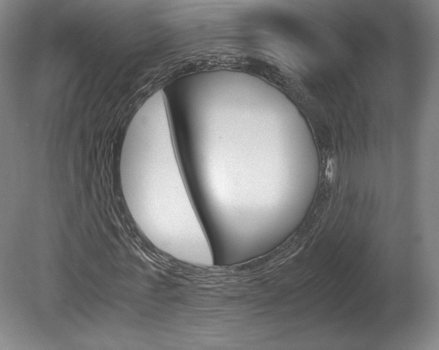 X0000078840771200611130957