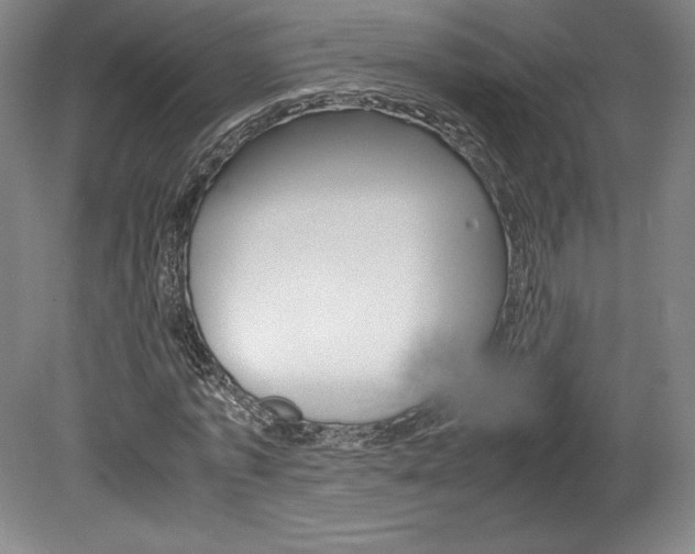 X0000078840773200611130957