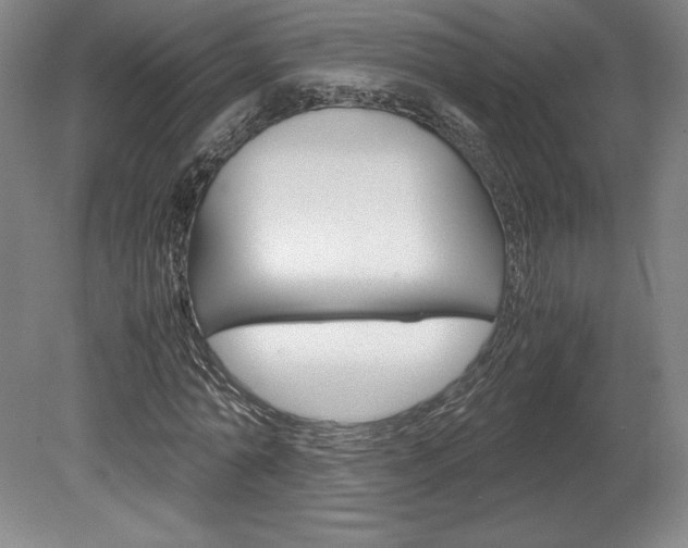 X0000078840774200611130957