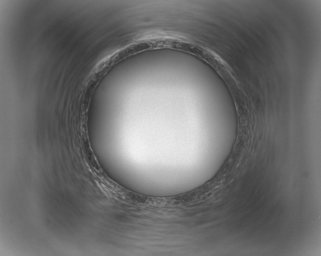 X0000078840775200611130957