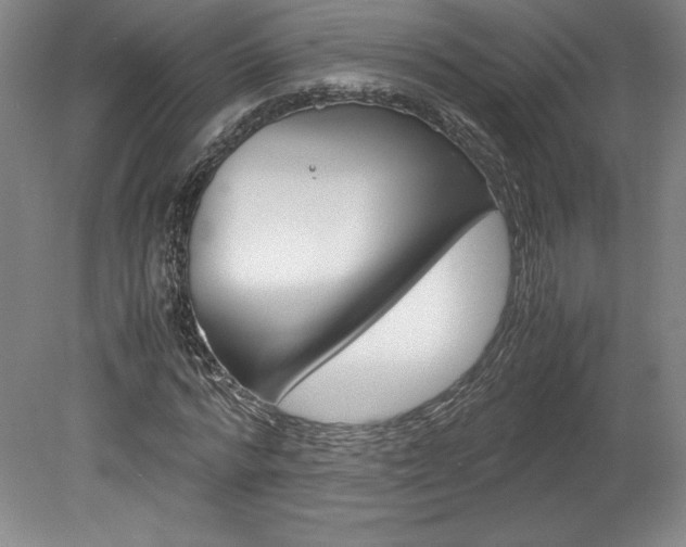 X0000078840776200611130957