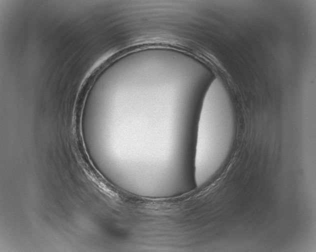 X0000078840780200611130956
