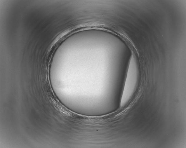 X0000078840781200611130956