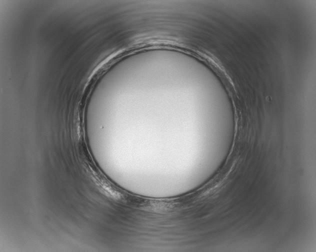 X0000078840782200611130956