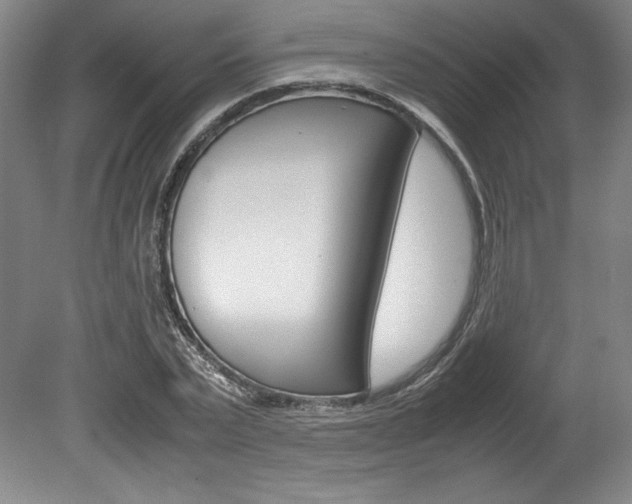 X0000078840783200611130956