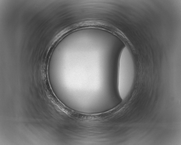 X0000078840786200611130956