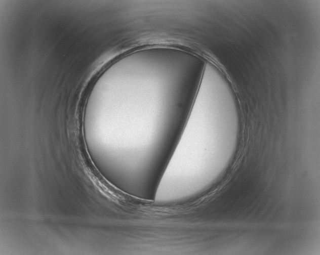 X0000078840787200611130956