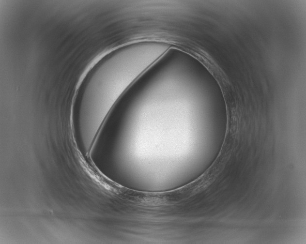 X0000078840788200611130956