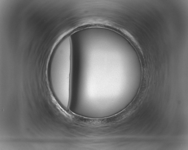 X0000078840791200611130956