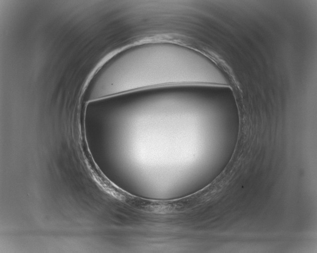 X0000078840792200611130956