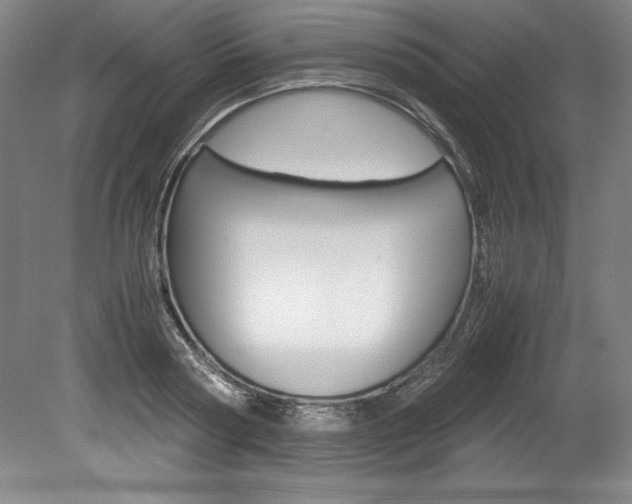 X0000078840794200611130956