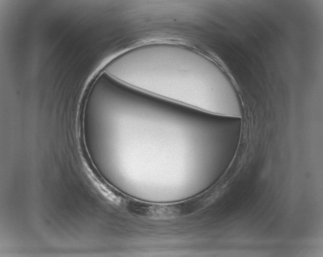 X0000078840795200611130956