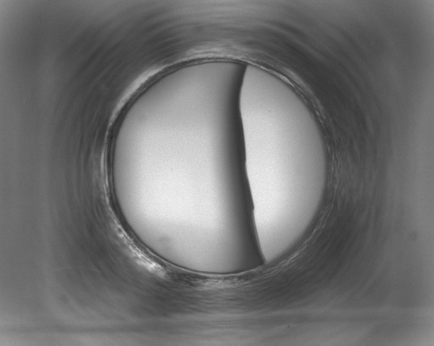 X0000078840796200611130956