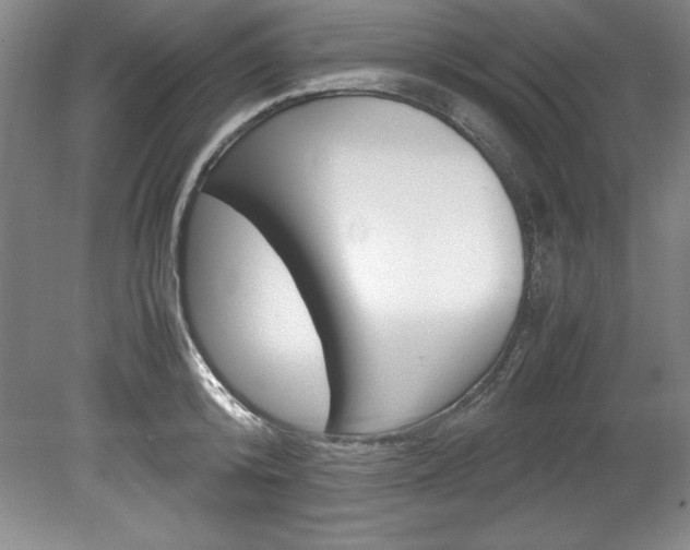 X0000078840800200611130956