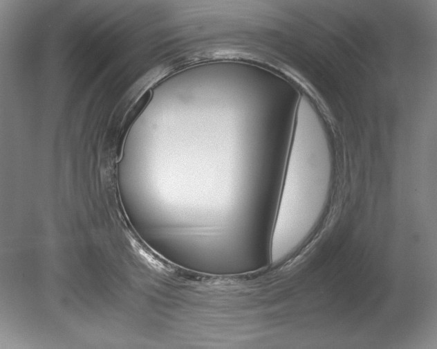 X0000078840801200611130956