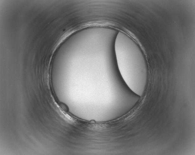 X0000078840802200611130956