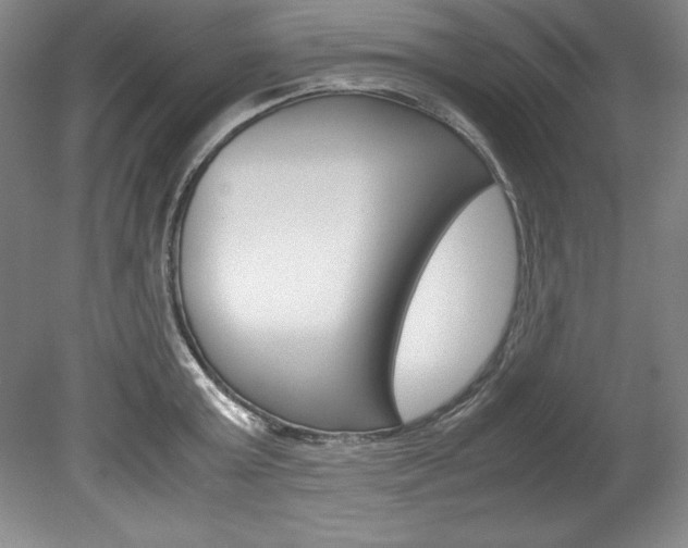 X0000078840803200611130956
