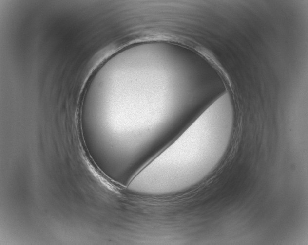 X0000078840805200611130956