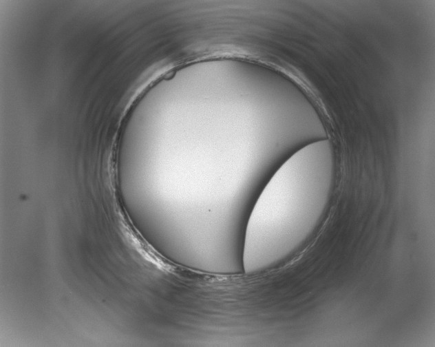 X0000078840806200611130956