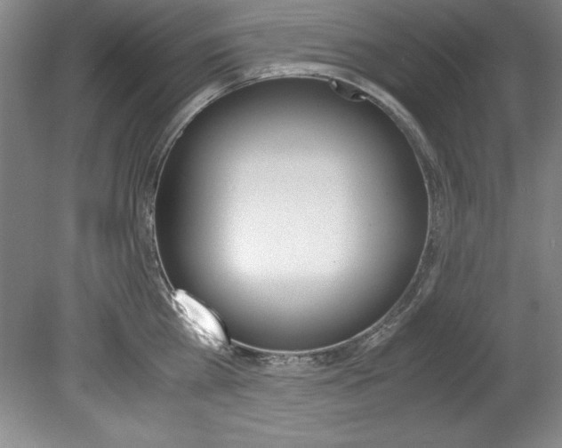 X0000078840809200611130956