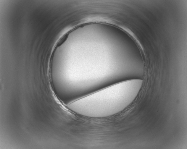 X0000078840815200611130956
