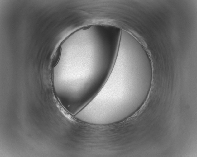 X0000078840816200611130956