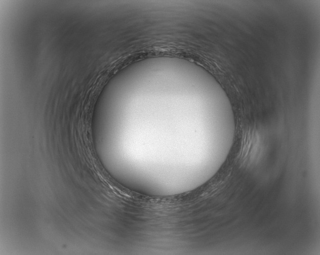 X0000078840817200611130955