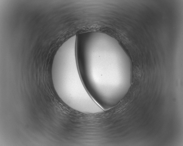 X0000078840818200611130955