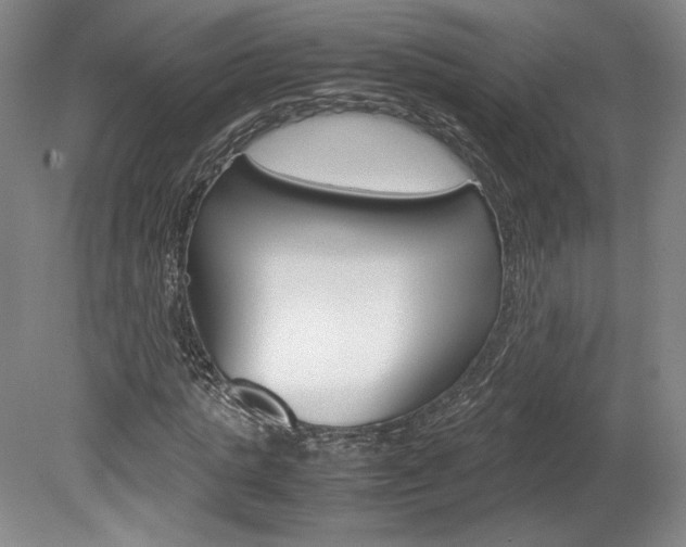 X0000078840821200611130955