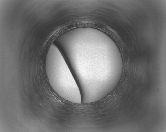 X0000078840823200611130955