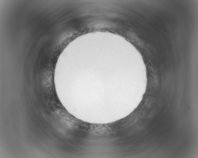 X0000078840824200611130955