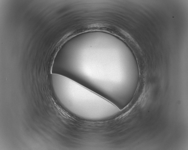 X0000078840825200611130955