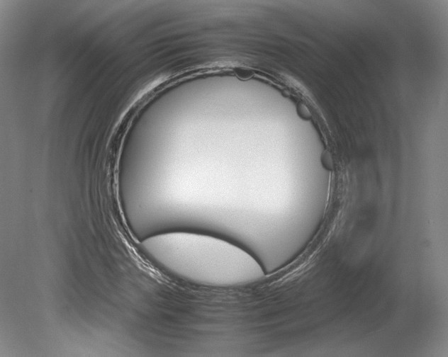 X0000078840827200611130955