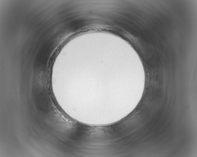 X0000078840828200611130955