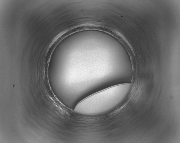 X0000078840829200611130955