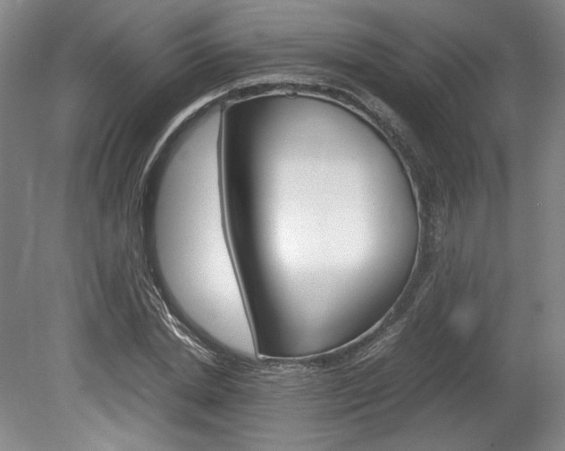 X0000078840830200611130955