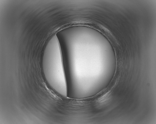 X0000078840833200611130955