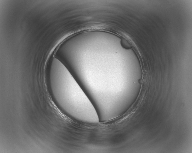 X0000078840835200611130955
