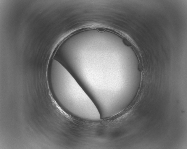 X0000078840839200611130955
