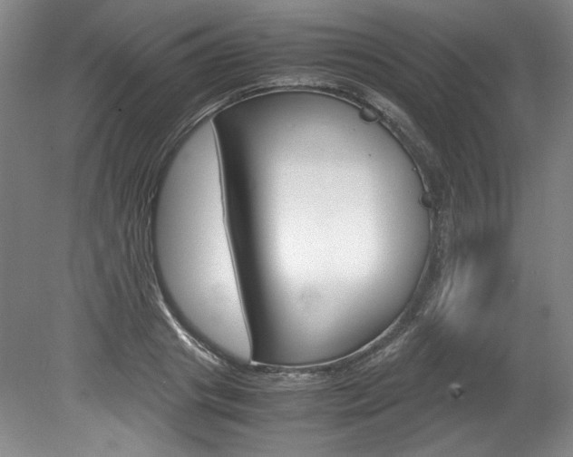 X0000078840841200611130955