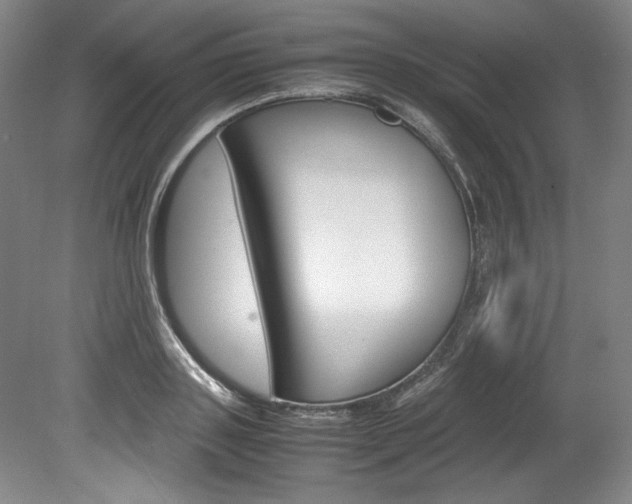 X0000078840843200611130956