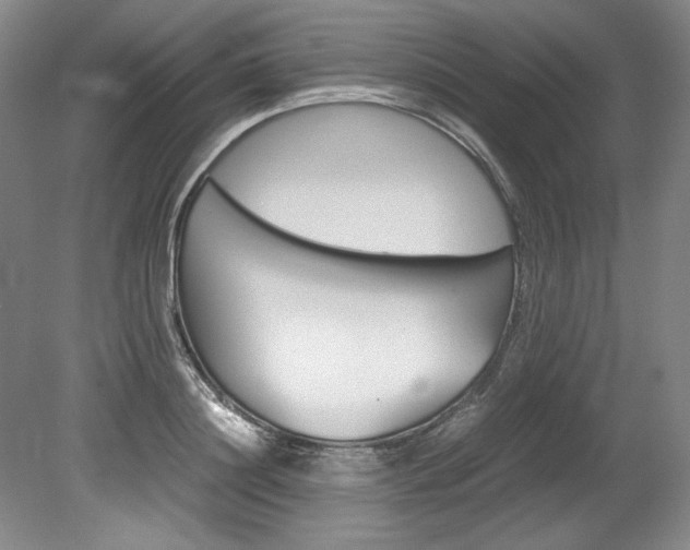 X0000078840844200611130956