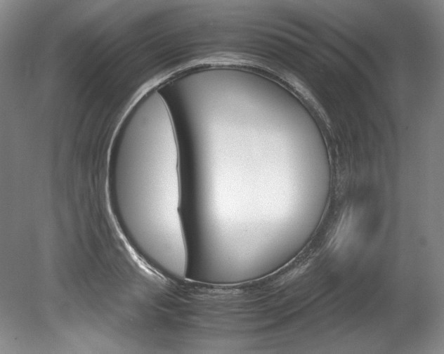 X0000078840845200611130956