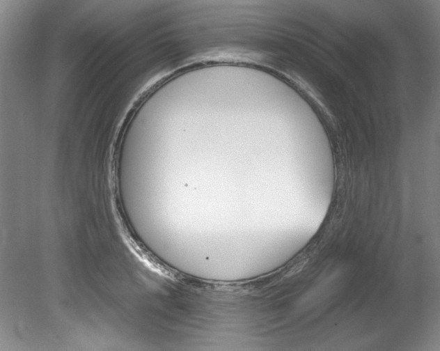 X0000078840848200611130956